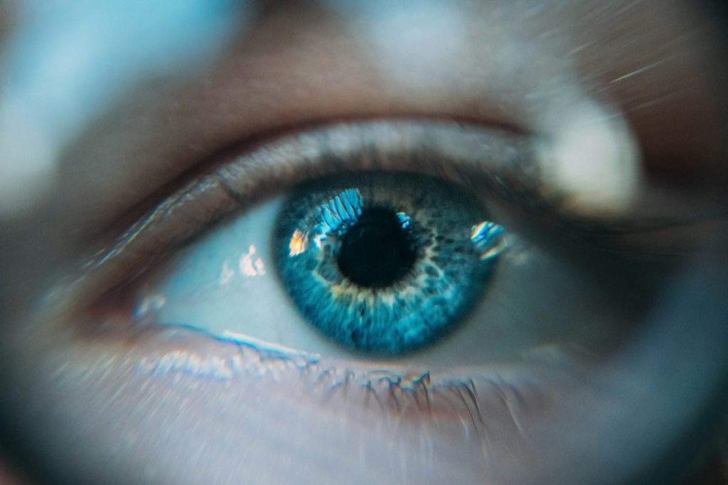 eye